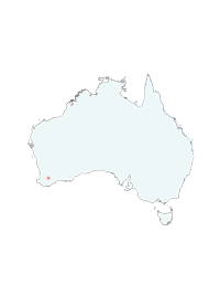 Dumbleyung Australia Outline Map